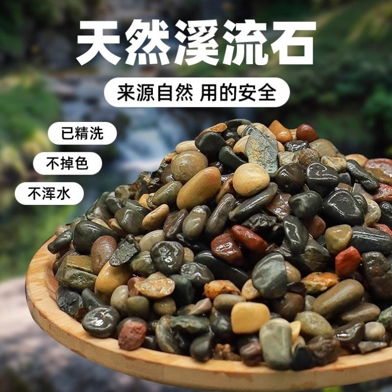 溪流石造景专用石英乌龟养鱼天然小景观石沙子水族箱摆件纯天然套,节庆用品/礼品,装饰灯,淘宝优惠券,粉丝福利购,淘宝优惠卷