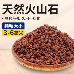 鱼缸底部砂石免洗底砂造景火山石溪流雨林沙白沙乌龟石头尼罗河沙