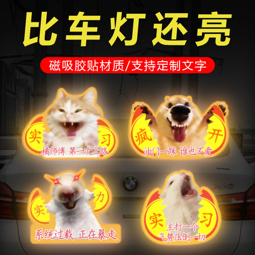 meme猫咪撕烂实习搞笑创意装饰反光贴可定制文字磁吸反光汽车贴纸