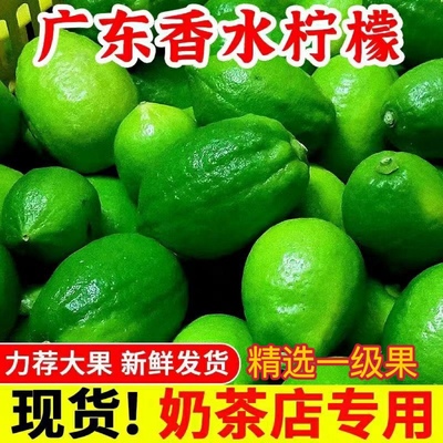 【果园现发】正宗广东无籽香水柠檬一级果手打柠檬茶奶茶店商用