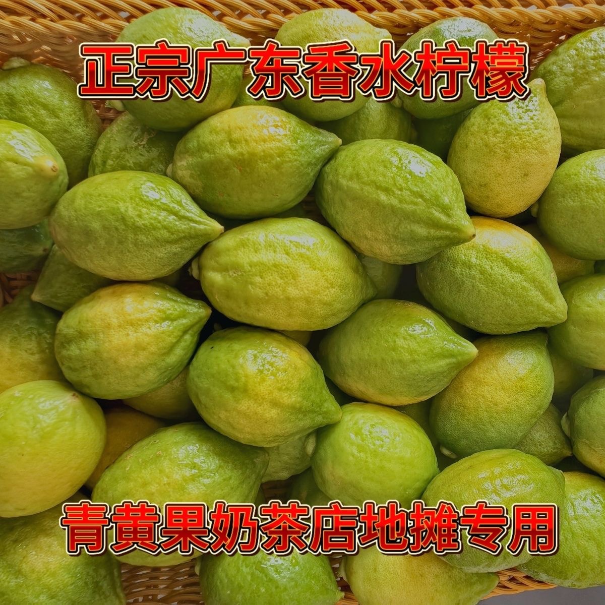 广东香水柠檬新鲜无籽香水柠檬青黄果现摘现发奶茶店专用湛江