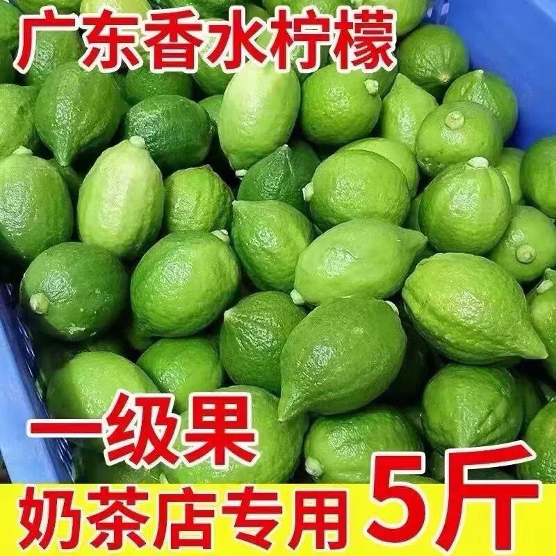 正宗广东香水柠檬一级果新鲜爆香柠檬