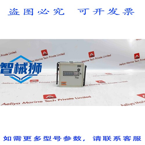 原装供应 COEL COELMATIC DH 小时计计数器 1/100 110/60HZ