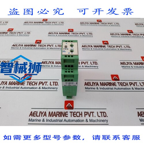 原装供应 红狮控制 IFMA0065 -模拟转换器