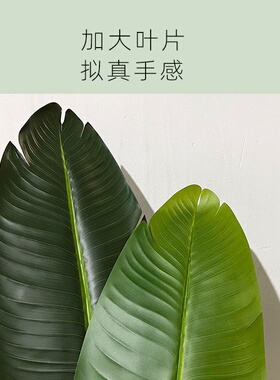 仿真绿植旅人蕉盆栽室内落地树客厅假植物造景摆件真家居装扮