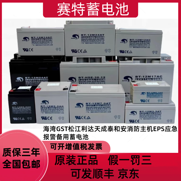 海湾GST松江利达天成泰和安消防主机EPS应急报警赛特蓄电池BT-12M