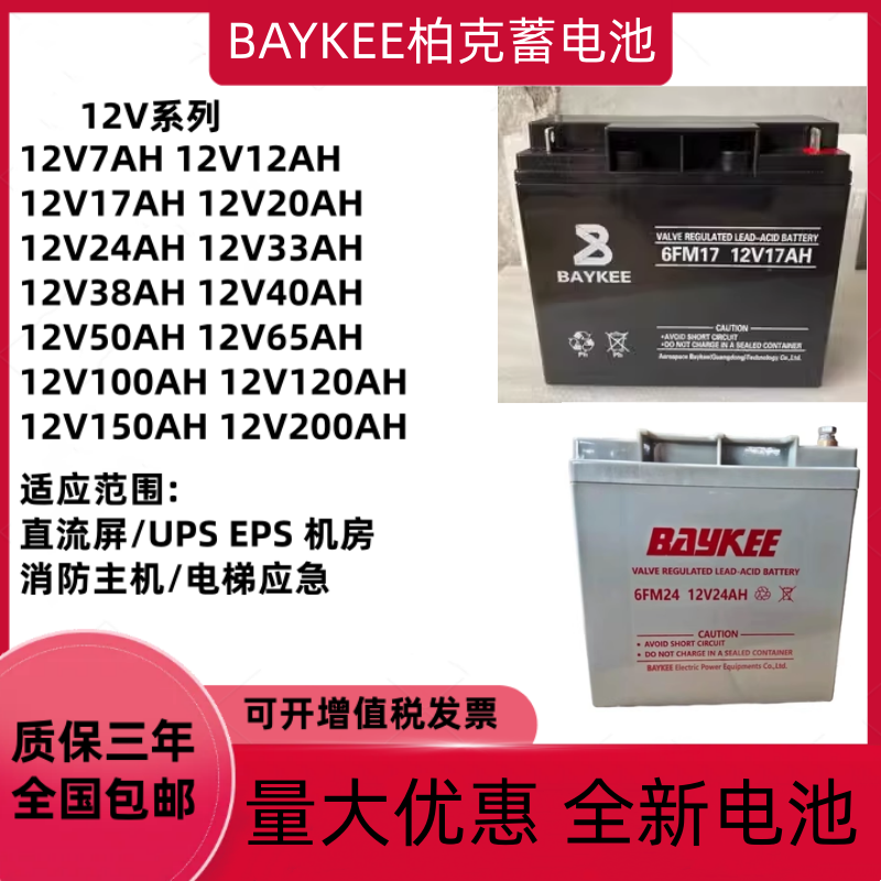 BAYKEE柏克蓄电池6FM12V17AH24AH38AH65AH100AH直流屏EPSUPS电源