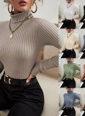 Women's turtleneck knit sweater 韩版爆款女装高领针织修身毛衣