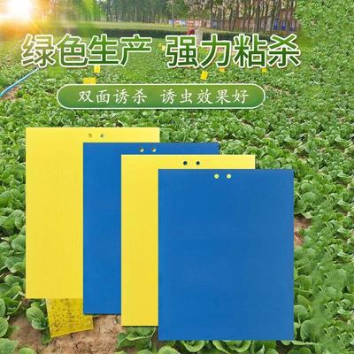 Yellow double-sided sticky insect trap, blue sticky paper, y