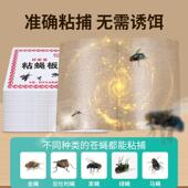 kil adhesive trap Fly sticky strong paper mosquito fly board