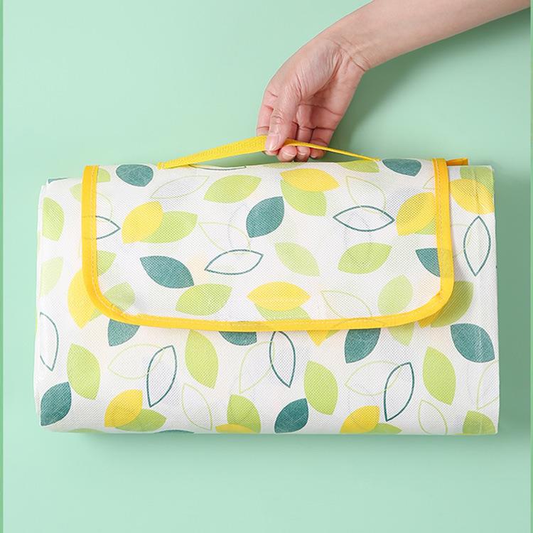 Waterproof and moisture-proof outdoor camping picnic mat, wa