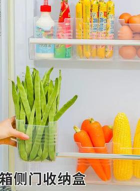 Interior refrigerator door organizer with compartments for c