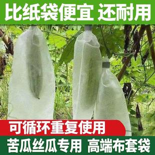 Non-woven fabric专用袋 for bitter melon, loofah, cucumber, g