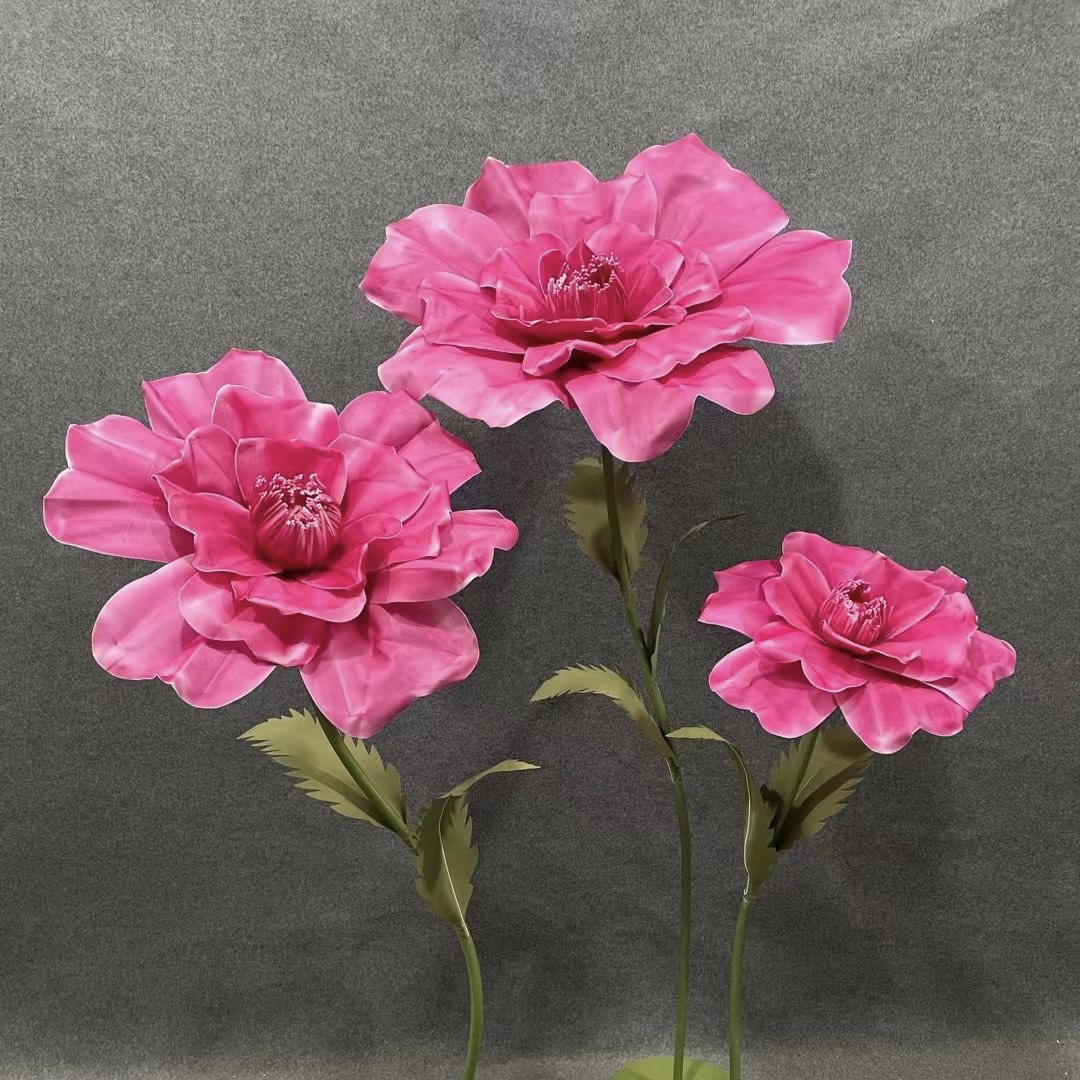 多种颜色可选大型芙蓉花厂家直营