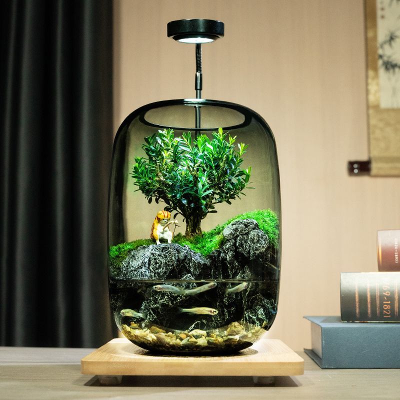 养鱼缸苔藓微景观生态瓶桌面创意小摆件盆栽造景植物玻璃瓶办公室