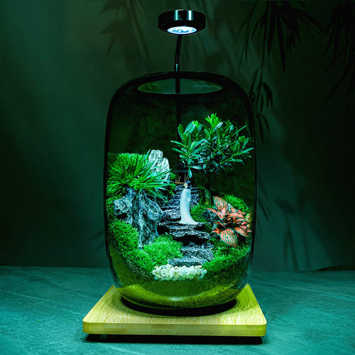 送礼物苔藓微景观生态瓶真植物创意桌面办公室造景盆景绿植盆栽