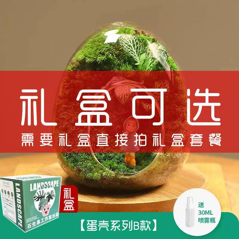 苔藓微景观生态瓶diy材料绿植盆栽创意办公室桌面真植物盆景礼盒