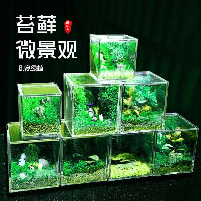 送礼创意苔藓植物生态瓶趣味微景观室内DIY绿植懒人好养桌面摆件