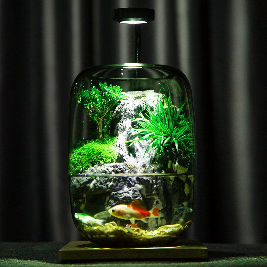 养鱼生态缸桌面苔藓微景观生态瓶造景办公室创意绿植高端礼物摆件