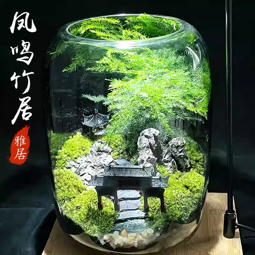 桌面盆栽苔藓微景观生态瓶玻璃造景植物盆景办公室养鱼缸装饰摆件