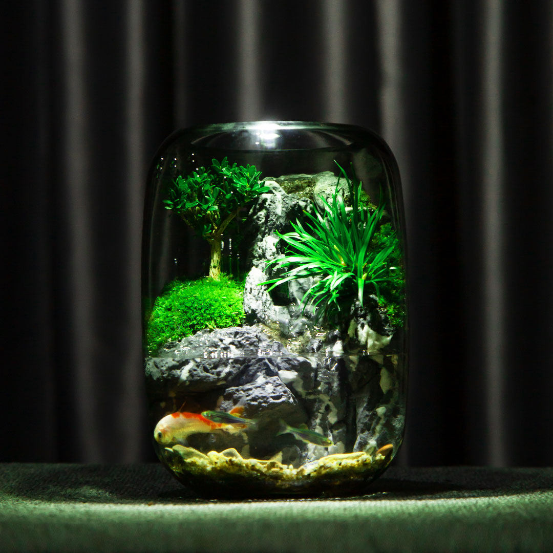 苔藓微景观养鱼流水桌面生态瓶造景成品办公室高端摆件高端绿植