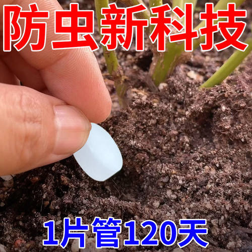 热卖蔬菜花卉绿植通用防虫药片