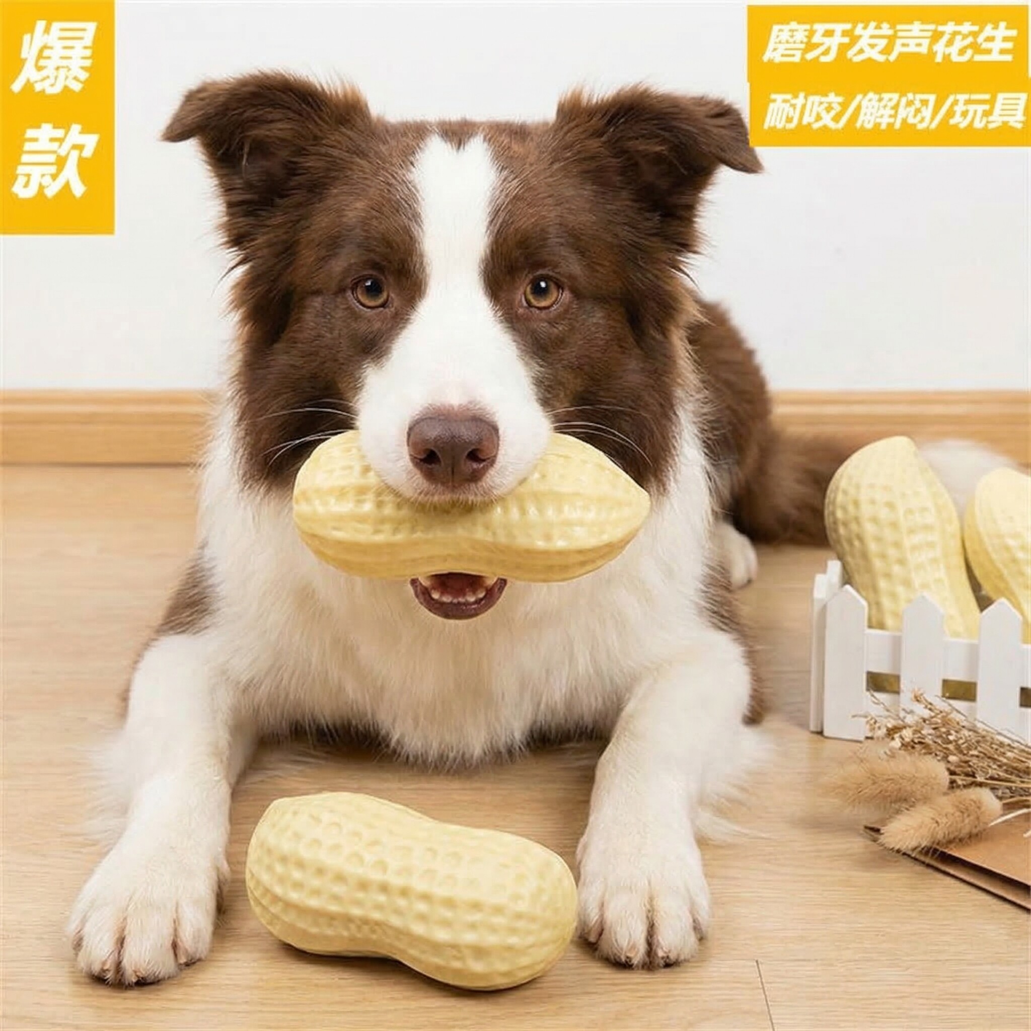 花生玩具狗狗玩具耐咬磨牙发声磨牙互动宠物玩具多宠通用解闷神器