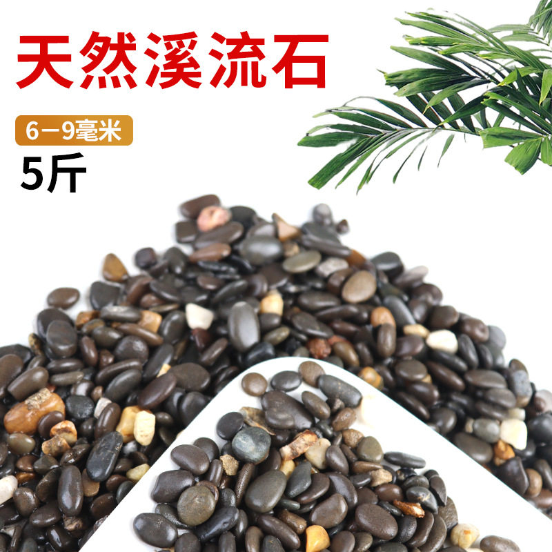 底砂溪流石专用乌龟养鱼底部套装水族石子虾水陆水族箱办公桌装饰,宠物/宠物食品及用品,龟缸,淘宝优惠券,粉丝福利购,淘宝优惠卷