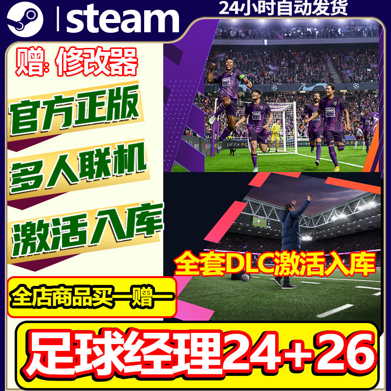 team正版足球经理24+26激活码