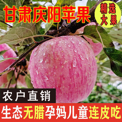 甘肃庆阳红富士苹果10斤