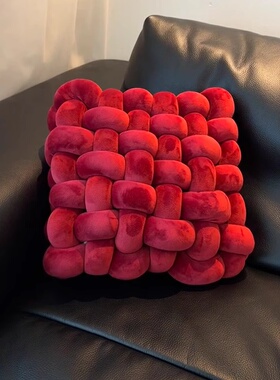 【新家的100个快递】新年红抱枕沙发客厅轻奢高级感方形编织靠垫