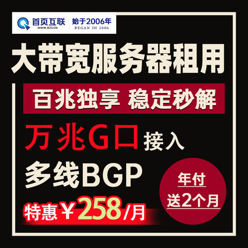 服务器租用大带宽100M独享