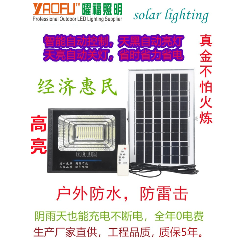 室外道路灯智能乡村庭院灯一拖二