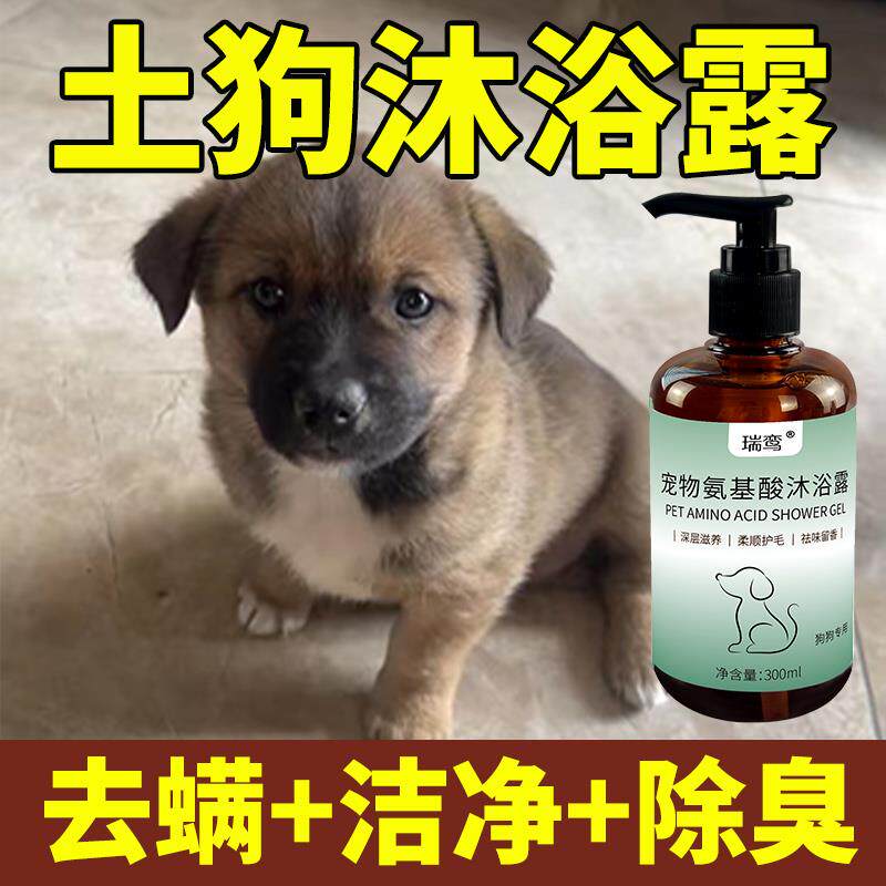 土狗田园犬专用氨基酸狗狗沐浴露体外驱虫止痒杀菌除臭除螨去跳蚤
