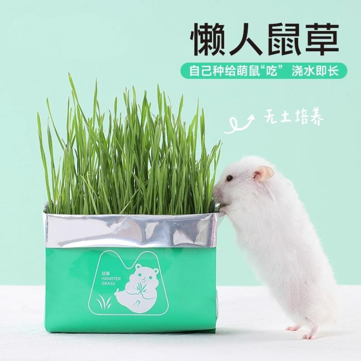 仓鼠粮食营养辅助饲料懒人鼠草无土水培金丝熊小宠助消化零食鼠草