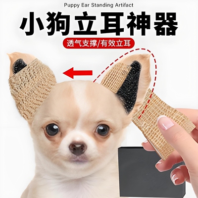 小狗立耳神器立耳贴幼犬竖耳辅助器狗耳朵立耳器无胶水不伤耳神器
