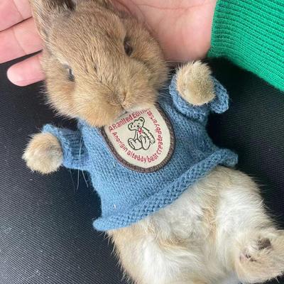 给垂耳侏儒兔子冬天冬季专用穿的衣服保暖可爱卡通荷兰猪仓鼠专用