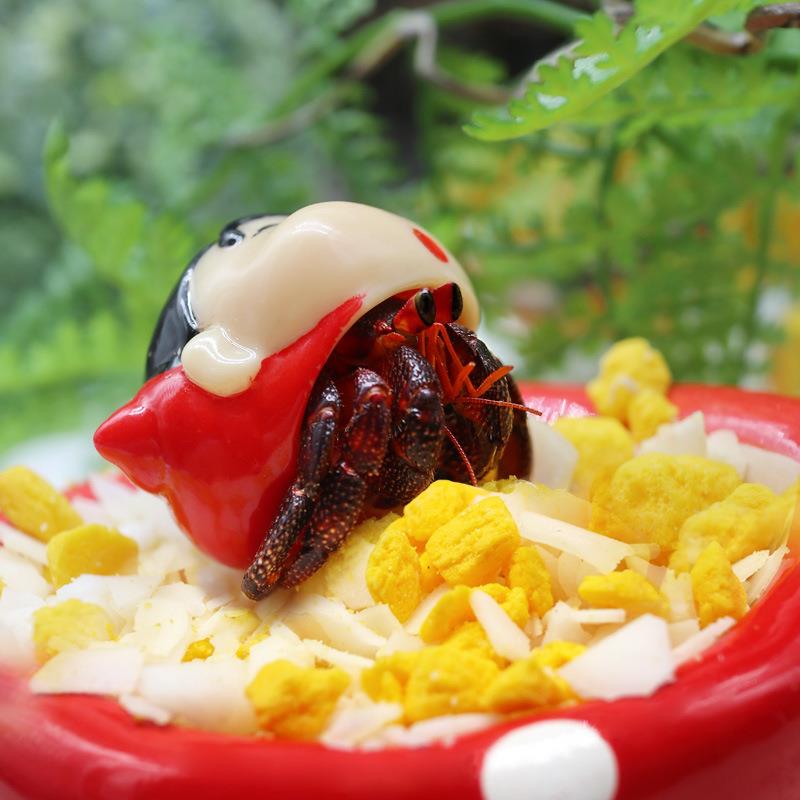 寄居蟹冻干零食宠物蟹粮食主粮专用食物高钙鱼虾干椰子片小分装袋