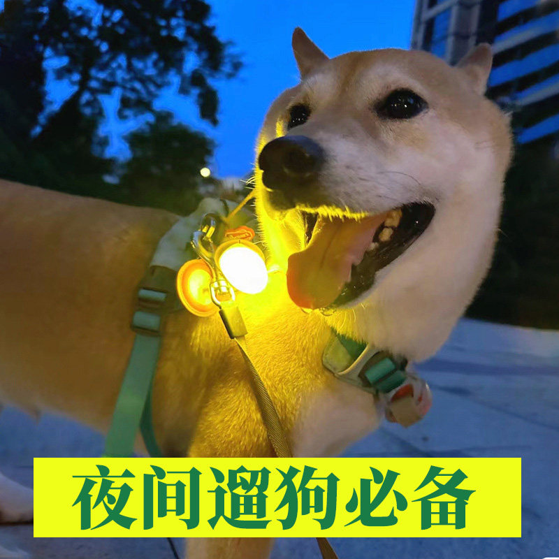 发光项圈夜晚遛狗狗夜灯狗狗夜间防走失灯宠物大中小型犬发光吊坠
