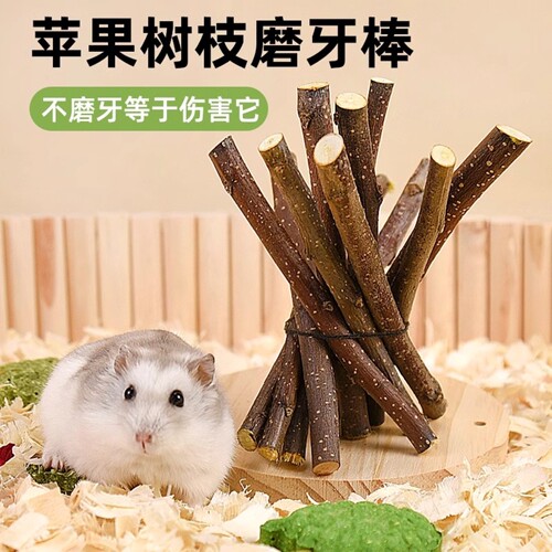 仓鼠磨牙棒啃咬苹果树枝磨牙棒咬木仓鼠龙猫磨牙零食树枝磨牙用品