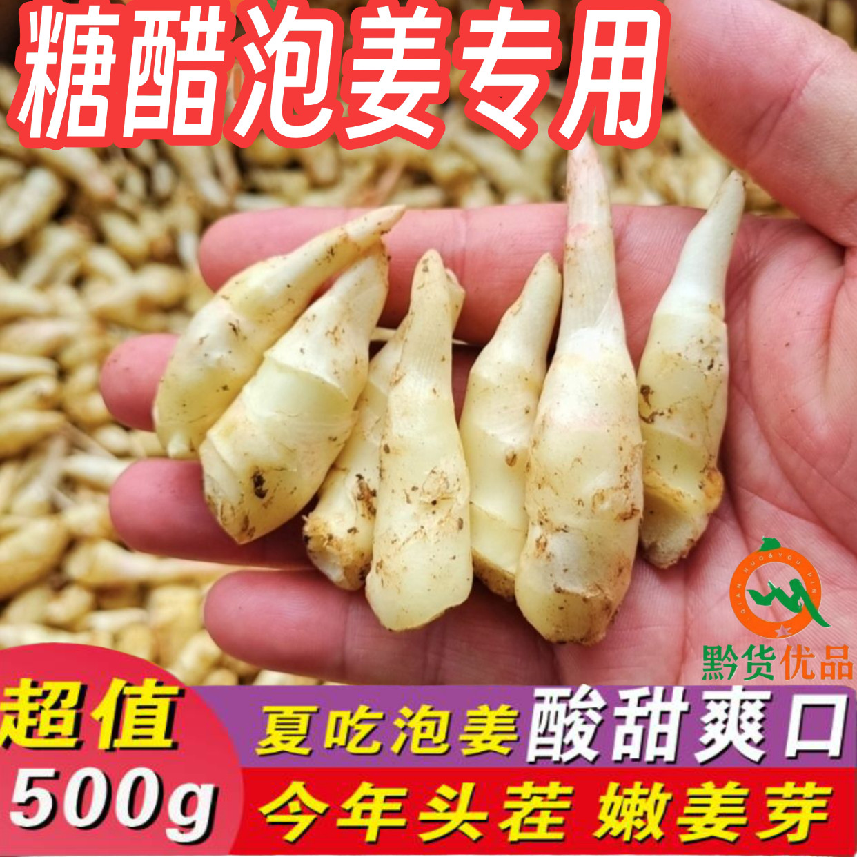 【新鲜嫩姜芽】糖醋泡姜泡菜酸辣手工农家腌制开胃泡食用生姜牙
