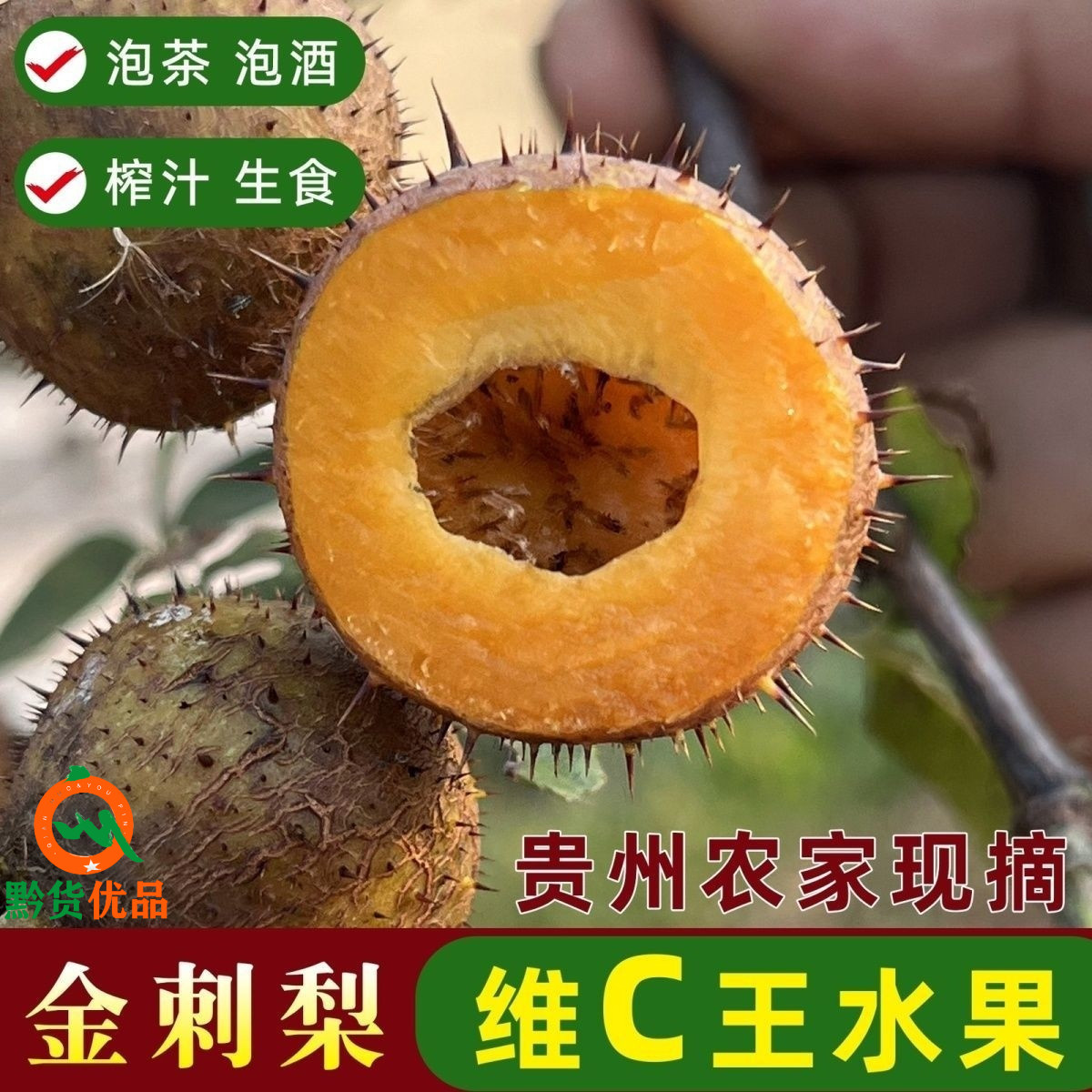 新鲜现摘金刺梨维C贵州安顺无籽刺梨鲜果子丰富vc可泡水果汁榨汁