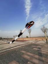 软体风筝充气展览跨境电商速卖通55米立体尾巴 软体蛇新款
