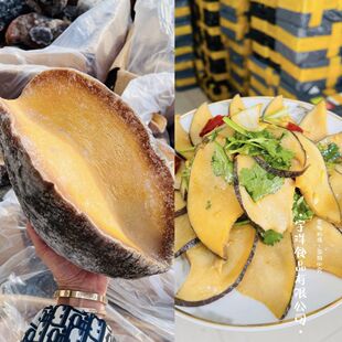 俄罗斯塞内加尔鲍螺深海黄金帝王鲍宽口涡螺肉刺身黄金鲍肉质鲜嫩