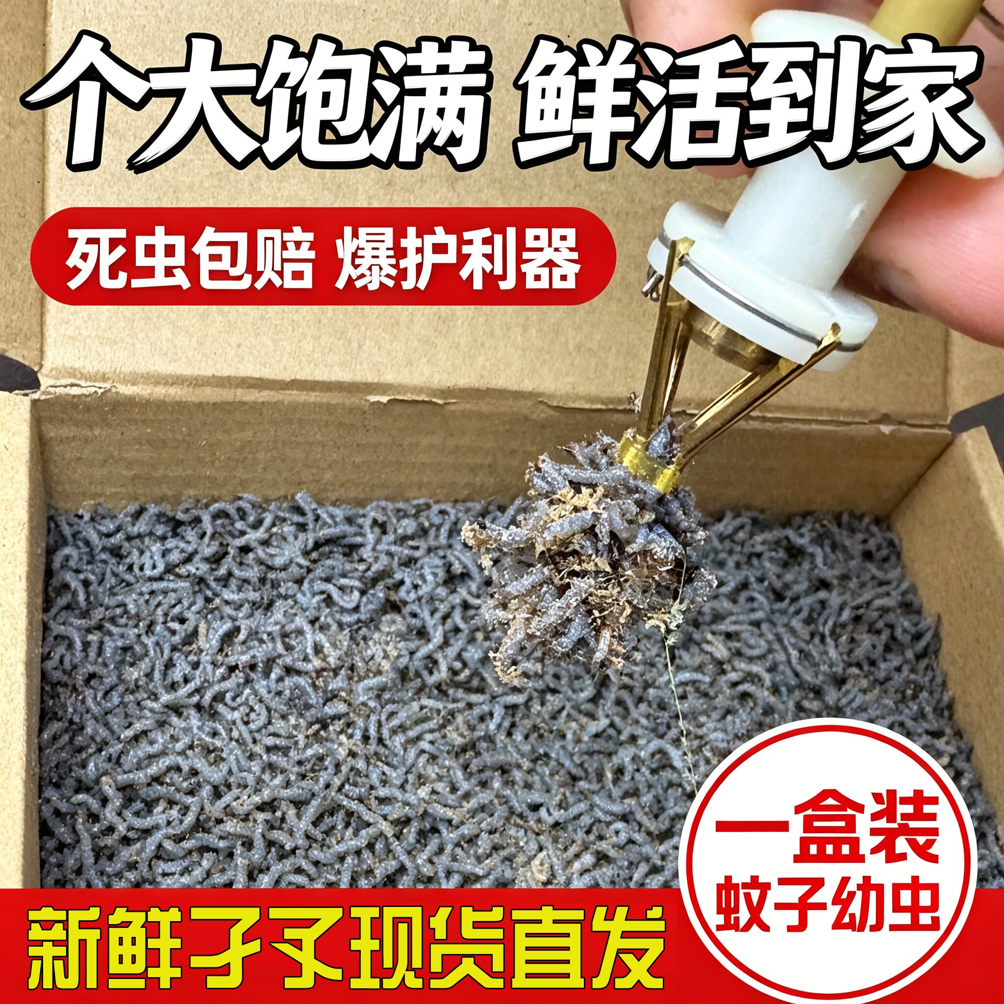 沙虫子活饵动物蛋白钓鱼垂钓沙虫子钓黄辣丁鲫鱼鲤鱼饵料鲜活速食