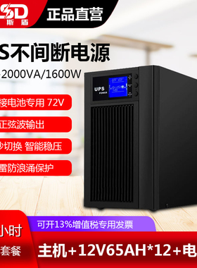 服务器电脑 C3KS 在线式UPS不间断电源3KVA2400W延时6小时套餐