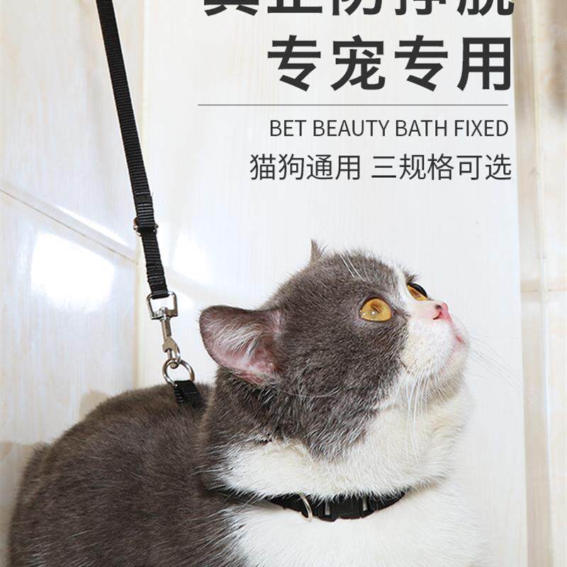 猫咪洗澡神器洗猫剪指甲防抓防咬固定器宠物美容桌拴猫绳子防挣脱
