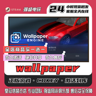 steam正版游戏wallpaper cdk激活码入库全DLC永久入库包更新