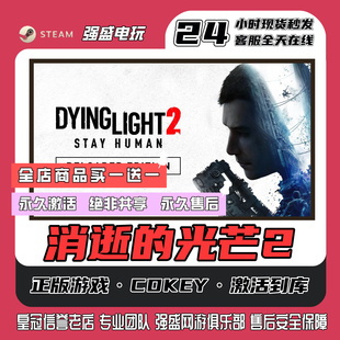 steam正版消逝的光芒2cdk激活码入库单机游戏永久入库全DLC包更新