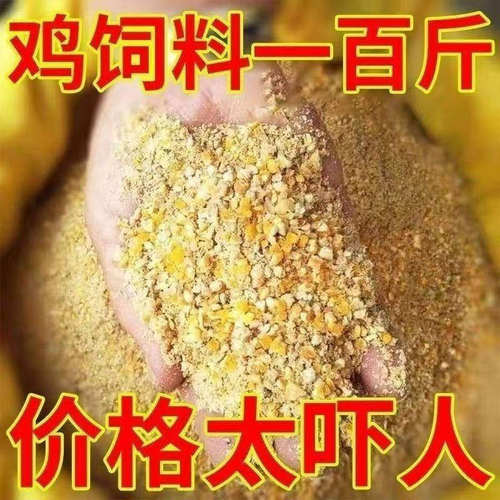 【抢】玉米粒碎喂鸡饲料